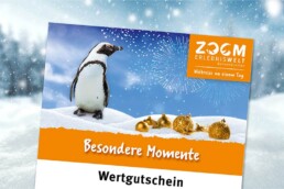 ZOOM Wertgutschein
