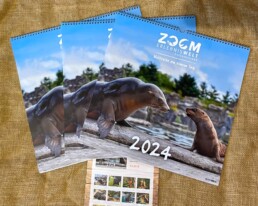 ZOOM Erlebnisweltkalender