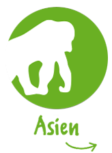 Asien