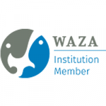 Logo Waza