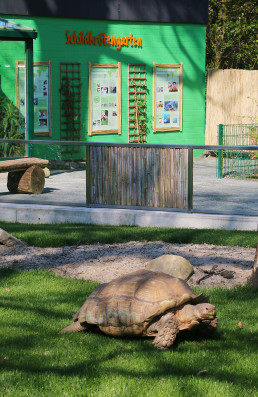 Schildkrötengarten
