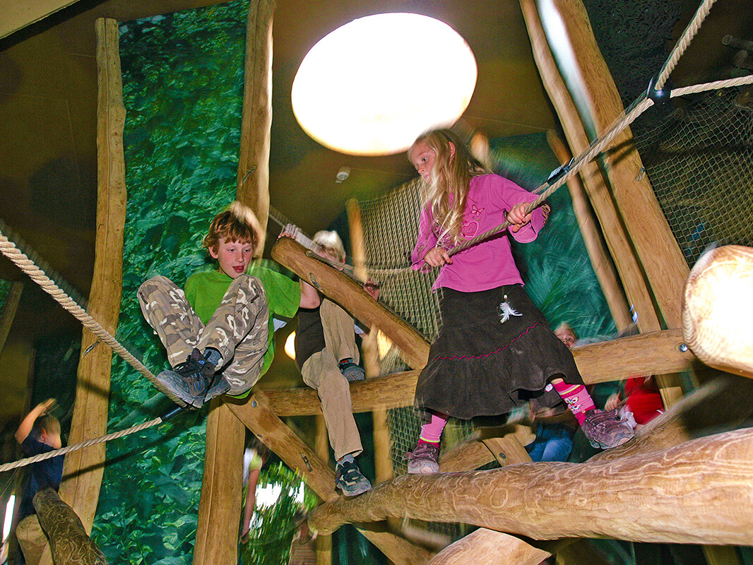 Dschungelhalle