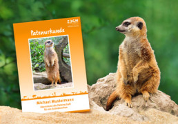 Teaser - Tierpatenschaften