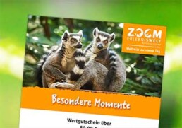 ZOOM Erlebniswelt Wertgutschein