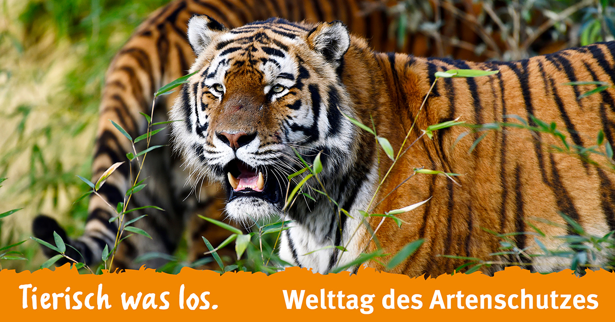 Welttag des Artenschutzes