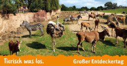großer entdeckertag