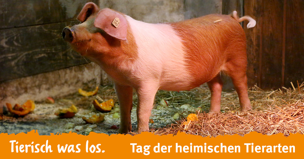 tag der heimischen tierarten